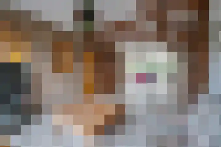 Dreesstraat 11 Rijen thumbnail 7