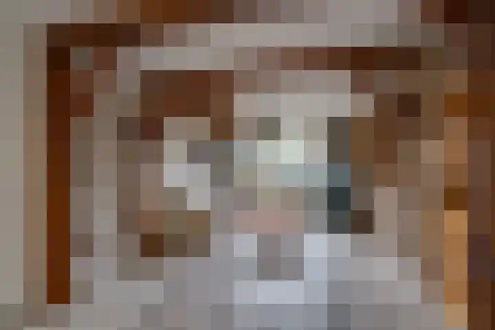 Dreesstraat 11 Rijen thumbnail 8
