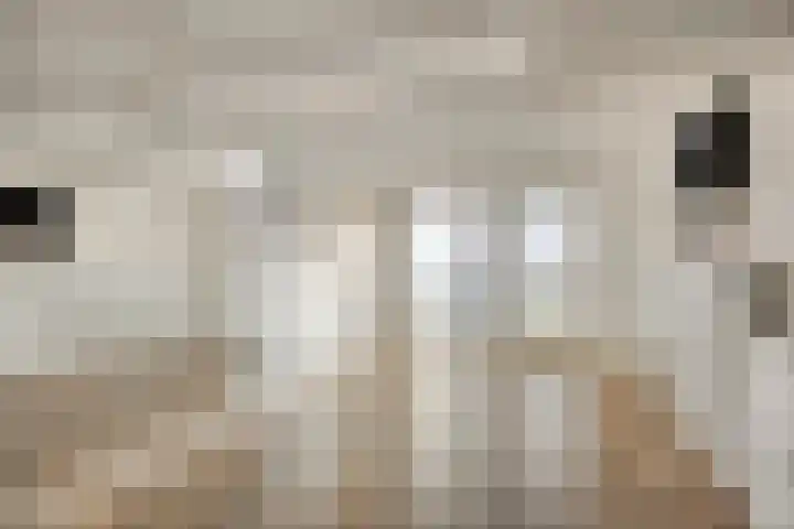 Dreeuwing 38 Gieten thumbnail 18