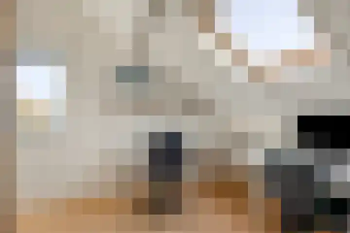 Dreeuwing 38 Gieten thumbnail 34