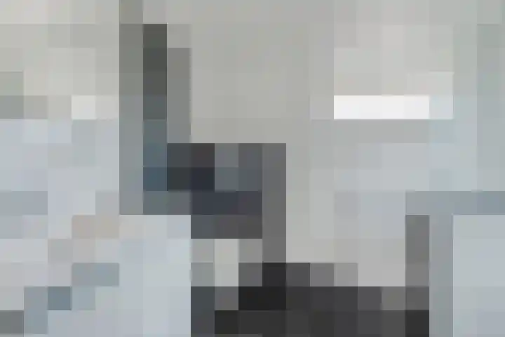 Dreischorstraat 23 Tilburg thumbnail 31