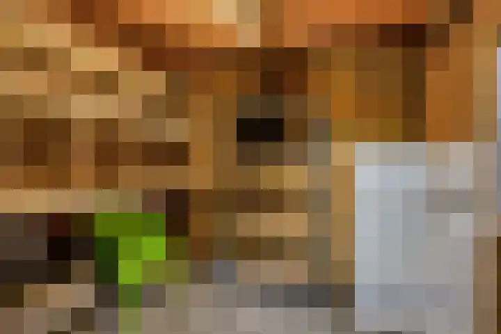 Drenkkuil 6 Oss thumbnail 18