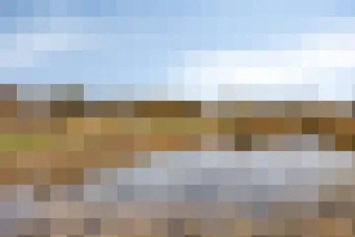 Drenkkuil 6 Oss thumbnail 22