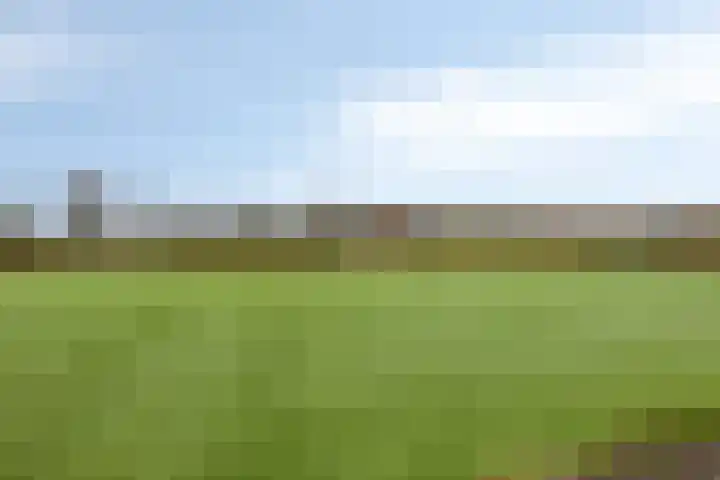 Drenkkuil 6 Oss thumbnail 24