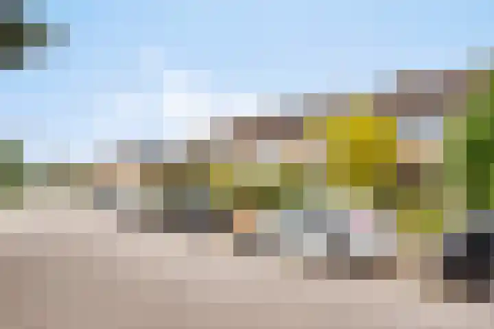 Drentesingel 52 Arnhem thumbnail 10