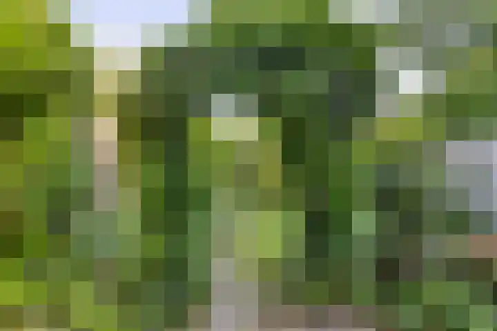 Drentesingel 52 Arnhem thumbnail 35