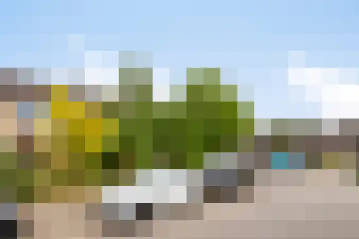 Drentesingel 52 Arnhem thumbnail 7