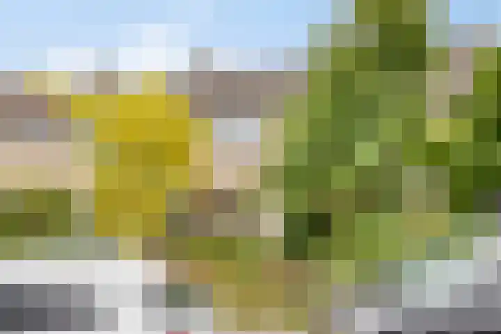 Drentesingel 52 Arnhem thumbnail 9