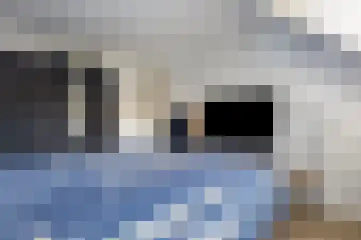 Drenthehof 121 Helmond thumbnail 15