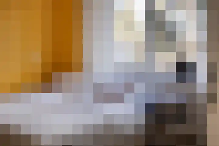Drenthehof 43 Helmond thumbnail 31