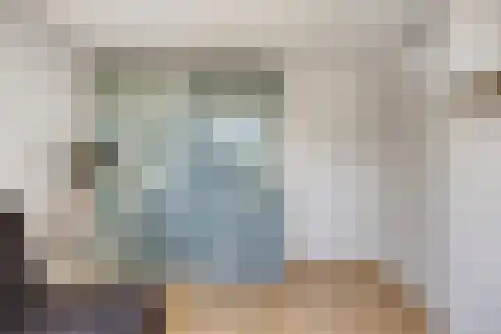 Drenthehof 43 Helmond thumbnail 37