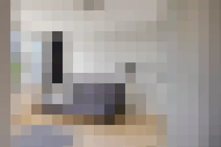 Drenthehof 43 Helmond thumbnail 38