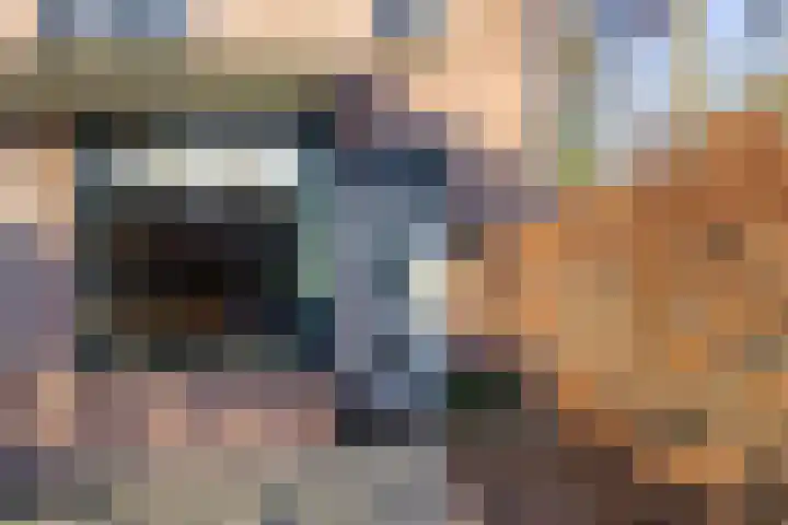 Drenthehof 43 Helmond thumbnail 8