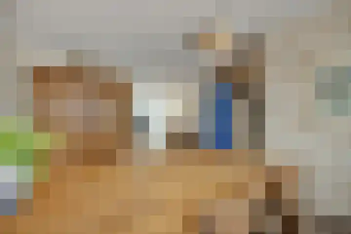 Drenthehof 49 Helmond thumbnail 11