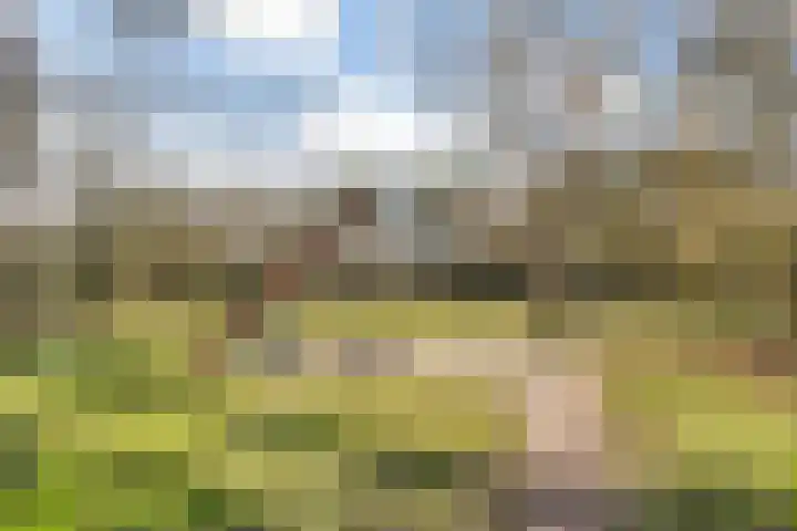 Drenthehof 49 Helmond thumbnail 38