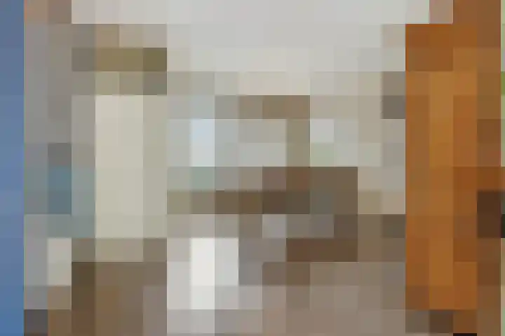 Drenthehof 49 Helmond thumbnail 8