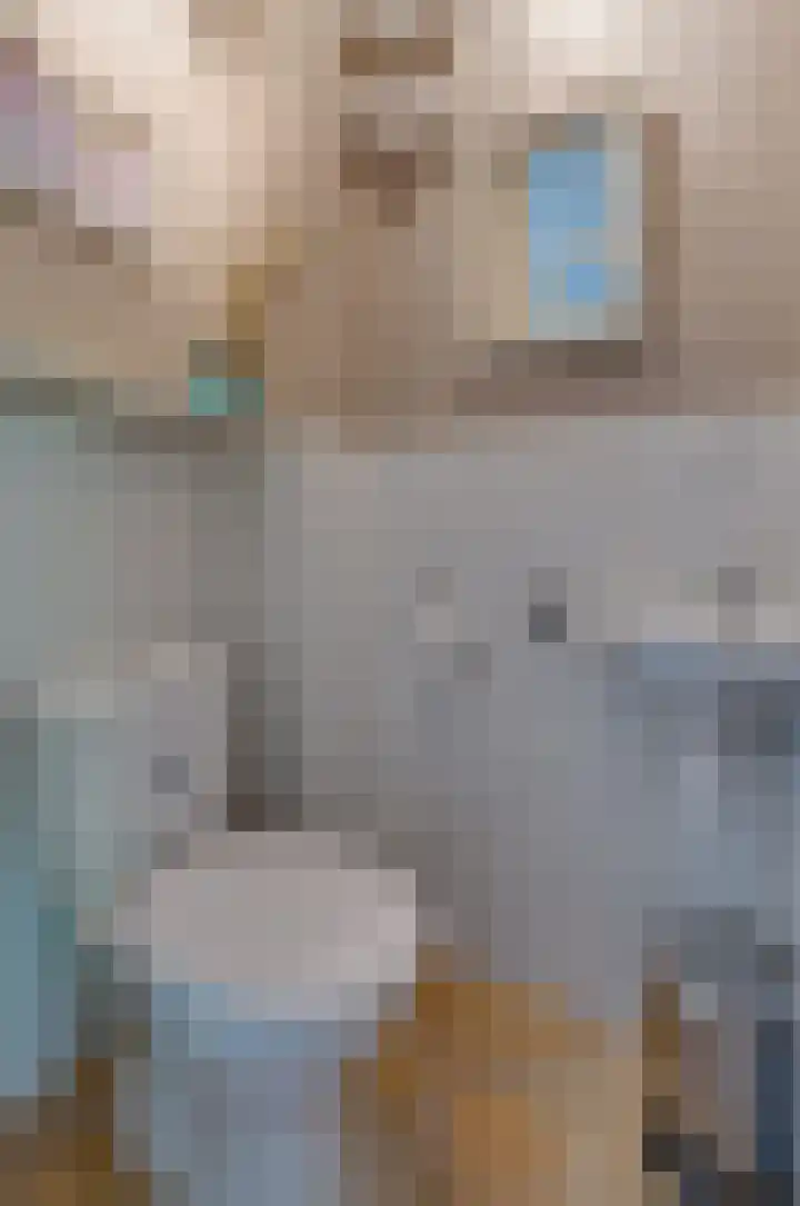 Dreslanden 31 Assen thumbnail 13