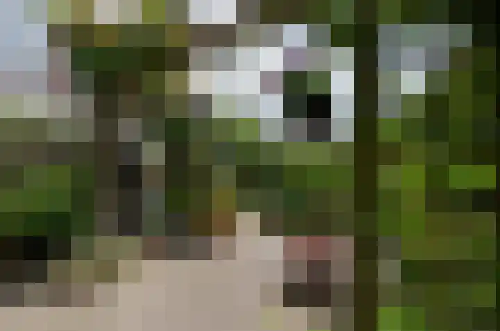 Dreslanden 31 Assen thumbnail 30