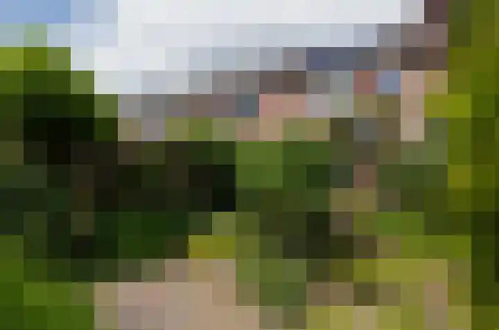 Dreslanden 31 Assen thumbnail 33
