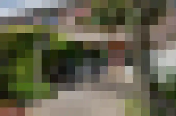 Dreslanden 31 Assen thumbnail 34