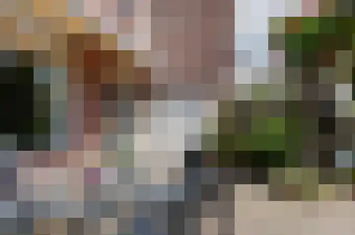 Dreslanden 31 Assen thumbnail 35
