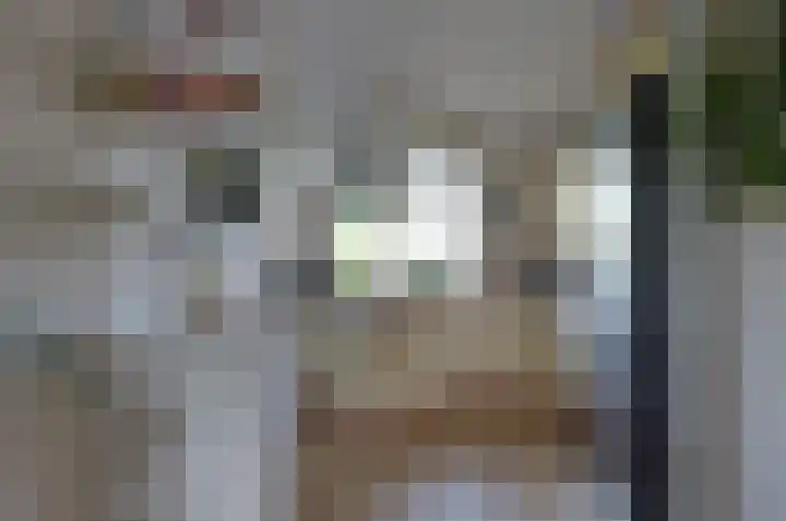 Dreslanden 31 Assen thumbnail 7