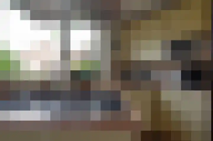 Dreslanden 31 Assen thumbnail 9
