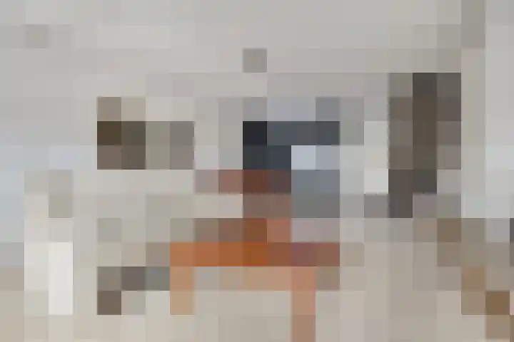 Drevel 32 Monnickendam thumbnail 10