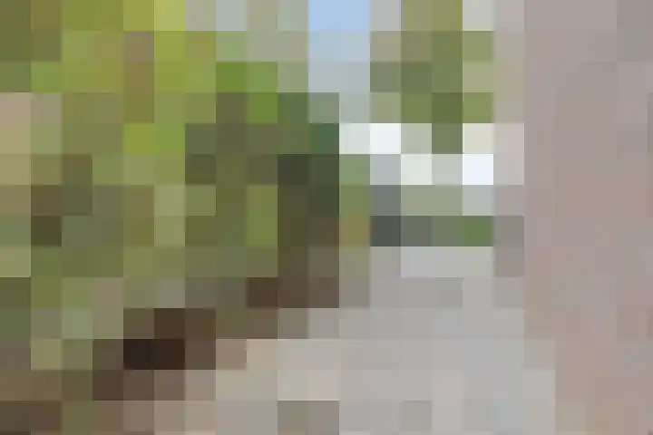 Drevel 32 Monnickendam thumbnail 26