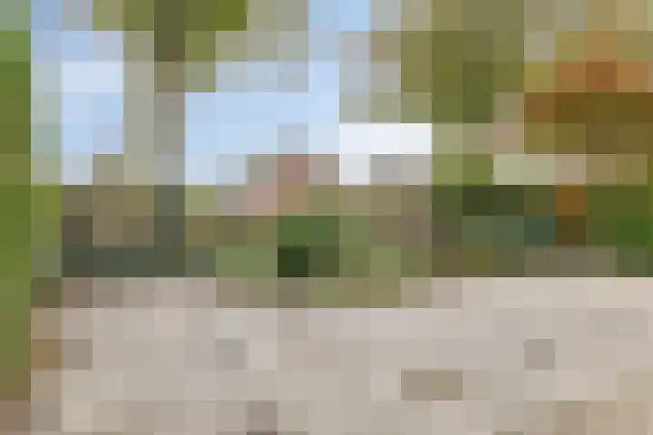 Drevel 32 Monnickendam thumbnail 5