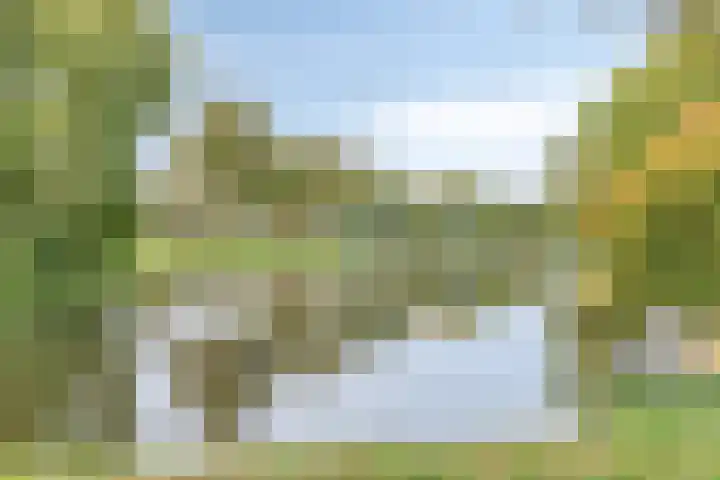 Drevel 32 Monnickendam thumbnail 6