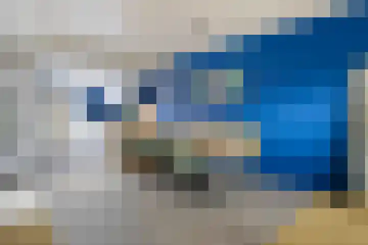 Drevel 37 Monnickendam thumbnail 10