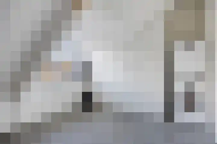 Drevel 37 Monnickendam thumbnail 28