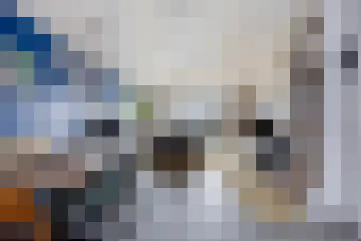 Drevel 37 Monnickendam thumbnail 7