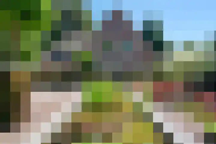 Dreyenseweg 1 Oosterbeek thumbnail 55