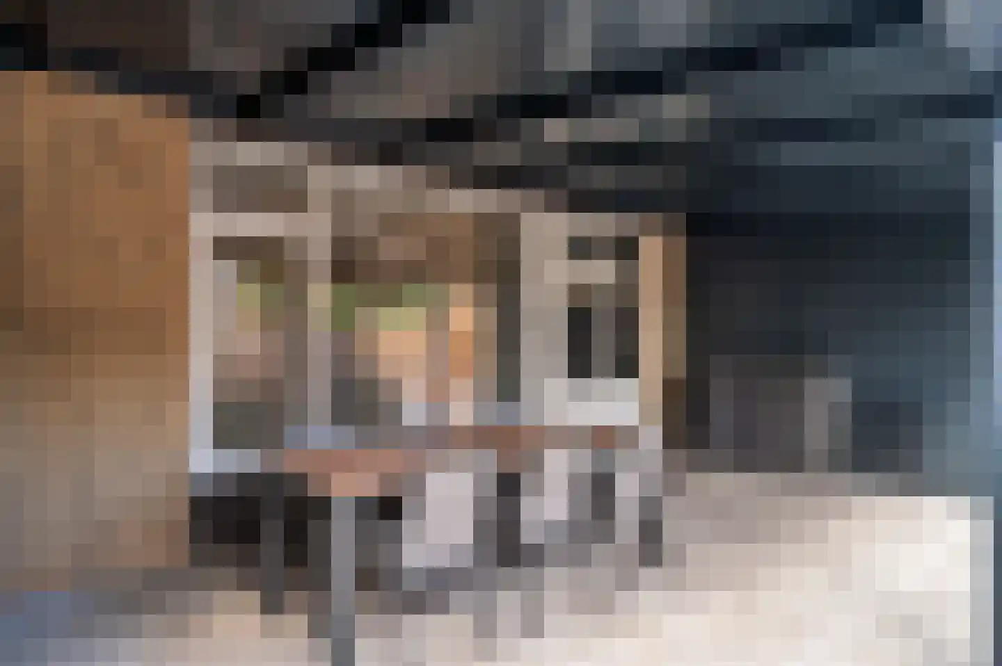 Drie Decembersingel 127 Venlo thumbnail 43
