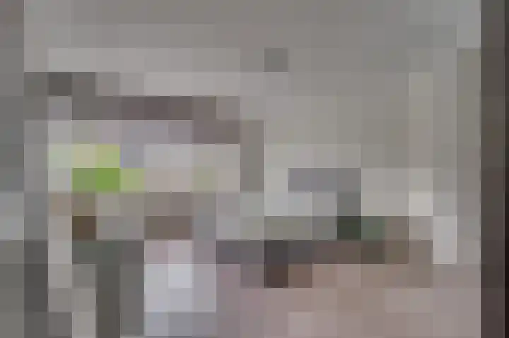 Drie Decembersingel 145 Venlo thumbnail 11