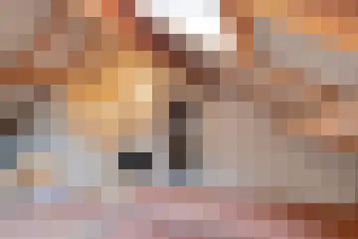 Drie Decembersingel 269 Venlo thumbnail 16