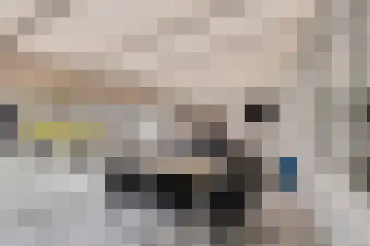 Drie Decembersingel 269 Venlo thumbnail 17