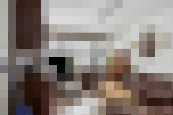 Drie Decembersingel 269 Venlo thumbnail 4