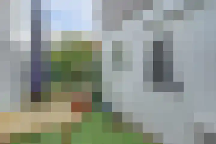 Drie Groene Eikels 21 Enkhuizen thumbnail 16