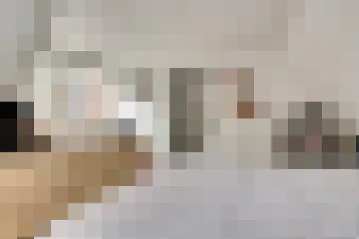 Drie Groene Eikels 21 Enkhuizen thumbnail 22
