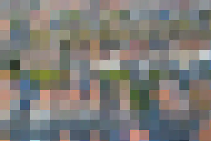 Drie Groene Eikels 21 Enkhuizen thumbnail 31