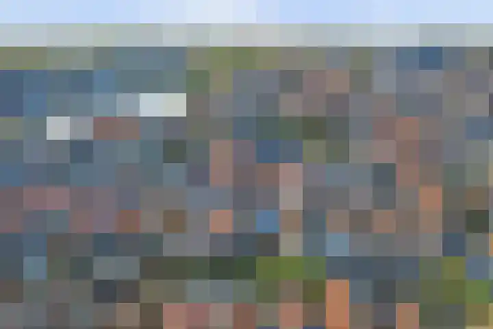 Drie Groene Eikels 21 Enkhuizen thumbnail 4