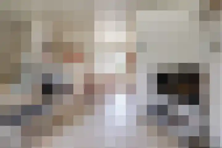 Drie Haasjes 21 Rilland thumbnail 13
