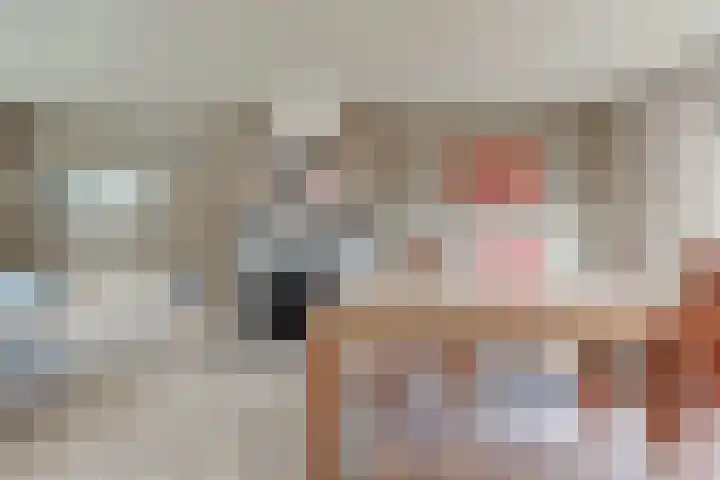 Drie Haasjes 21 Rilland thumbnail 15