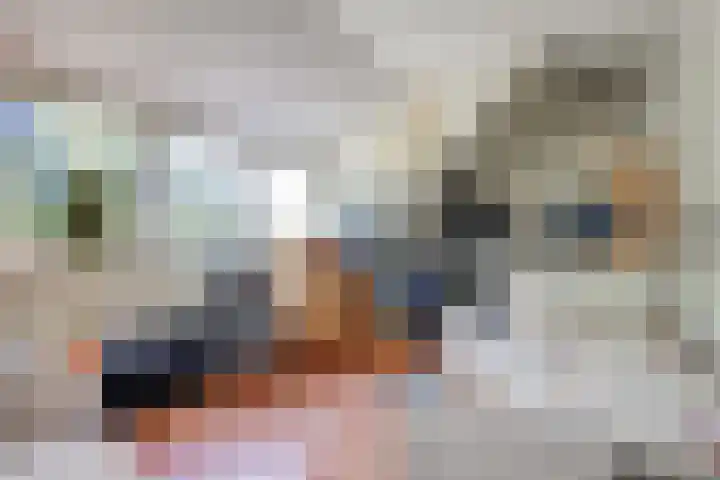 Drie Haasjes 21 Rilland thumbnail 19