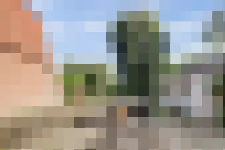 Drie Haasjes 21 Rilland thumbnail 24