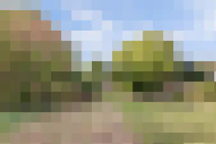 Drie Haasjes 21 Rilland thumbnail 25