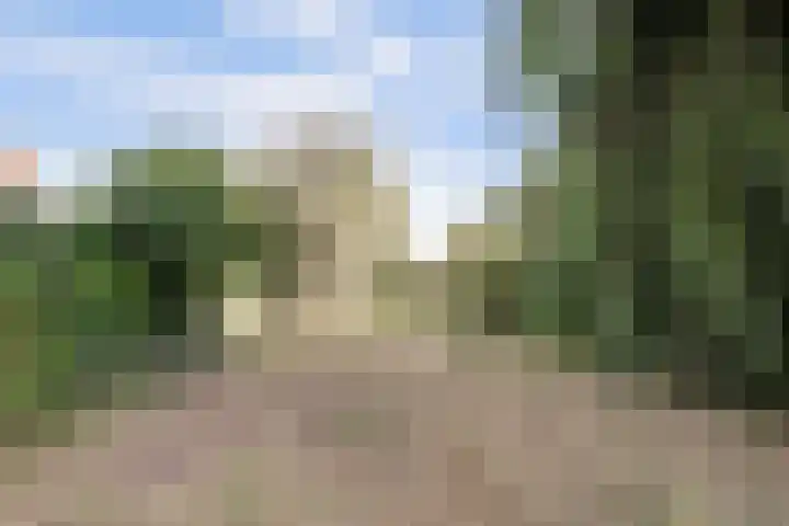 Drie Haasjes 21 Rilland thumbnail 26